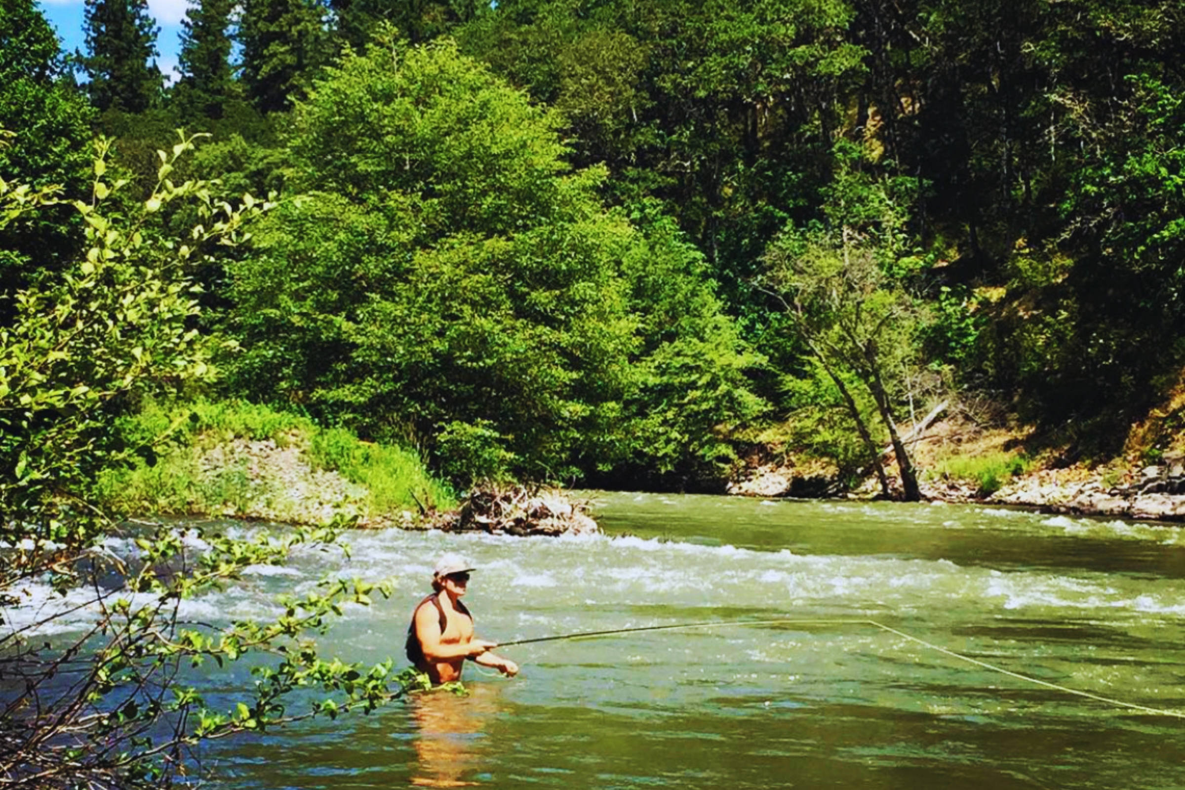 A person in the water near some trees.