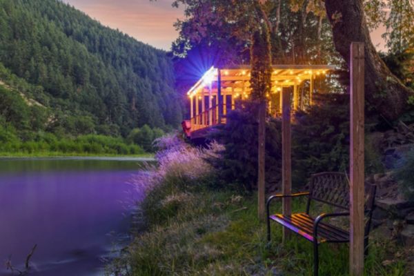 A bench near the water and trees at night.