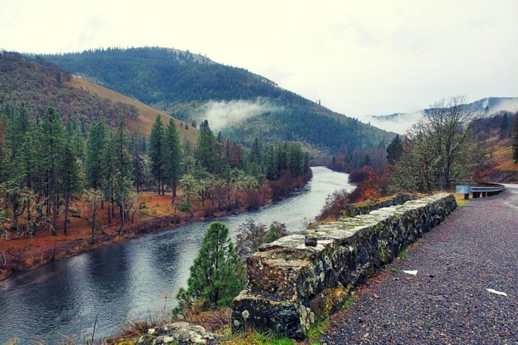 A river running through the middle of a forest.