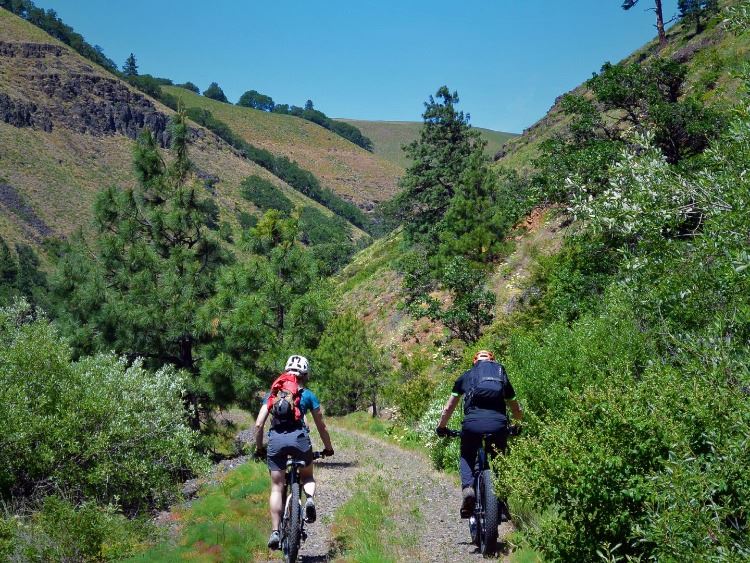 Two people riding bikes on a trail in the mountains.